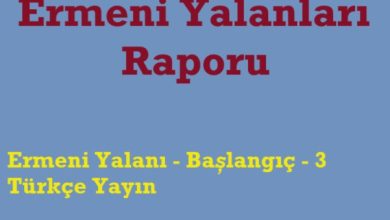 Ermeni raporu başlangıç - 3