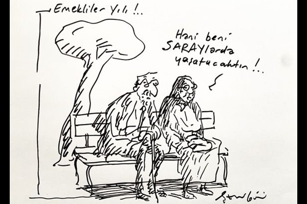 Emekliler yılı