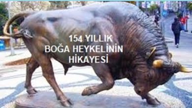 154 yıllık boğa hikayesi