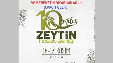 10. Milas Zeytin Hasat Şenliği