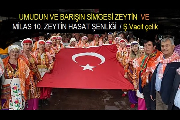 Umudun ve Barışın Simgesi Zeytin