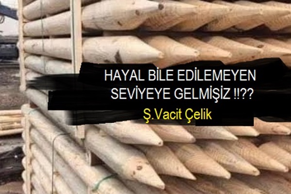 Hayal Bile Edilemeyen Seviyeye Gelmişiz!