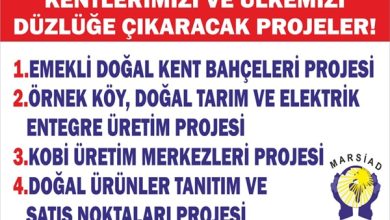 Ülkemizi düzlüğe çıkaracak projeler