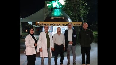Akçakoca Fındığın Başkenti