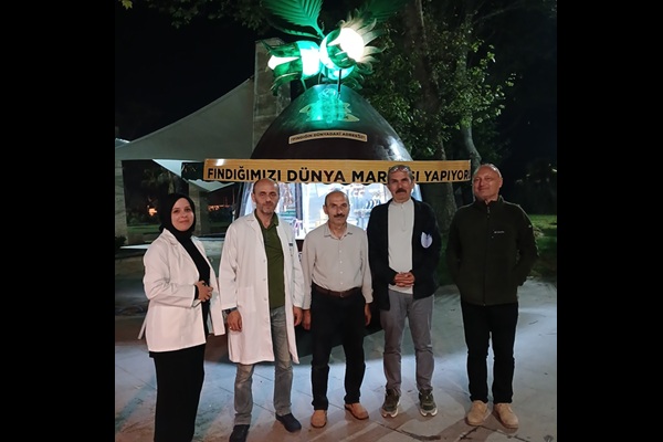 Akçakoca Fındığın Başkenti