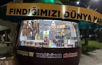Dünya Markası Fındık Akçakoca da yetişiyor