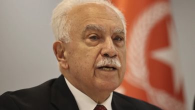 Doğu Perinçek - Eylem Çağrısı