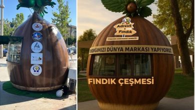 Fındık Çeşmesi