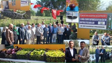 doğal tarım hasadı ve plaket töreni