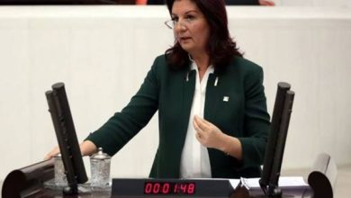 Prof. Dr. Lale Karabıyık,