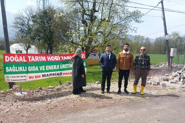 Zeytinliklerimizi ve Akarsularımızı Yok Etmeden Elektriğimizi Doğal Gıdamızı Üretebiliriz