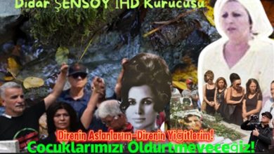 Didar Şensoy ve Dünya Barış Günü