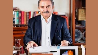 Namık Kemal Zeybek, AKP Kapatılmalıdır, Varlığı Demokrasiyi Tehdit Ediyor